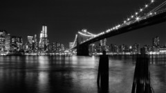 Landscapes Bridges monochrome