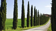 Landscapes buildings