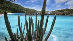 Landscapes cactus national park virgin islands