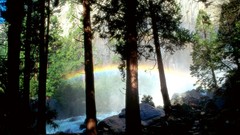 Landscapes California Yosemite National Park mist national park