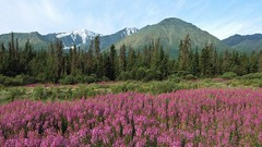 Landscapes Canada national park
