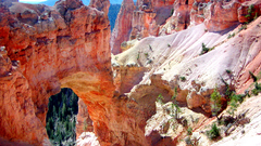 Landscapes canyon bryce canyon