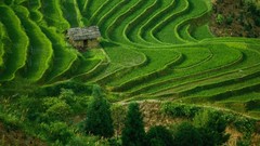 Landscapes China