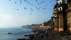 Landscapes cityscapes Birds Sea