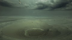 Landscapes clouds Birds