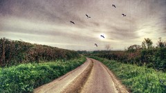 Landscapes clouds Birds roads paths HDR Photography artwork