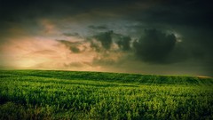 Landscapes clouds fields
