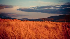 Landscapes clouds fields