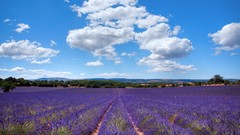 Landscapes clouds fields