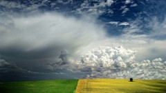 Landscapes clouds fields