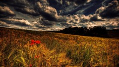 Landscapes clouds fields skies