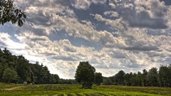 Landscapes clouds forests