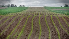 Landscapes clouds Green brown Poland countryside fields soil 