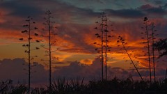 Landscapes clouds Hawaii USA skies
