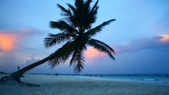 Landscapes clouds palm trees Beaches