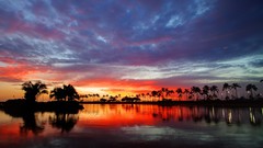 Landscapes clouds palm trees reflections