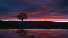 Landscapes clouds reflections