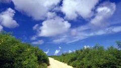 Landscapes clouds roads skylines