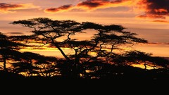 Landscapes clouds skies