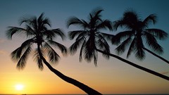 Landscapes clouds skies