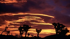 Landscapes clouds skies
