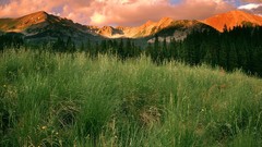 Landscapes clouds storm Colorado forests National
