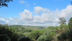 Landscapes clouds summer forests skyscapes