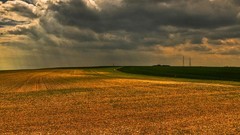 Landscapes clouds wheat android fields