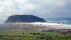 Landscapes coast Beaches