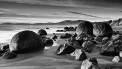Landscapes coast monochrome greyscale