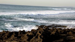 Landscapes coast Sea