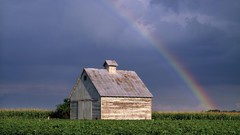 Landscapes corn houses rainbows illinois