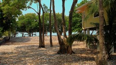 Landscapes cottage Beaches