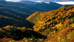 Landscapes creek national park Tennessee great smoky mountains 