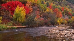 Landscapes creek nature autumn colors forests cristo
