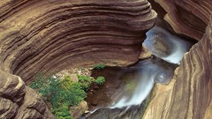 Landscapes creek nature deer Arizona Grand Canyon rocks 