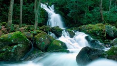 Landscapes creek nature falls great smoky mountains north 