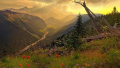 Landscapes creek nature Mountains sunlight Wildflowers forests