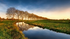 Landscapes creek nature Trees fields morning view