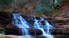 Landscapes creek nature Trees foliage waterfalls cliffs rocks