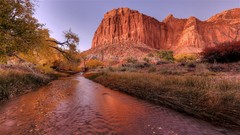 Landscapes creek nature Trees grass canyon Canyonlands National 