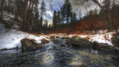 Landscapes creek nature Trees snow water clouds white foliage 
