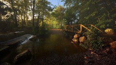 Landscapes creek nature Trees water Green morning waterfalls 