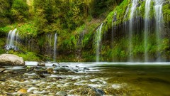 Landscapes creek nature Trees water Green waterfalls forests