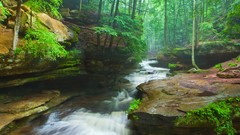 Landscapes creek nature Trees water white Green moss grove 