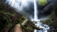 Landscapes creek nature Trees winter water moss trail Oregon 