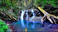 Landscapes creek nature Trees yellow water blue trunks white 