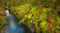 Landscapes creek nature water blue Green Plants chile forests 