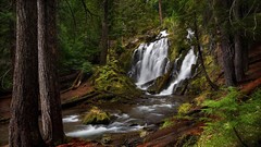 Landscapes creek Oregon waterfalls falls National southern