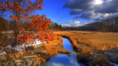 Landscapes creek Trees clouds
